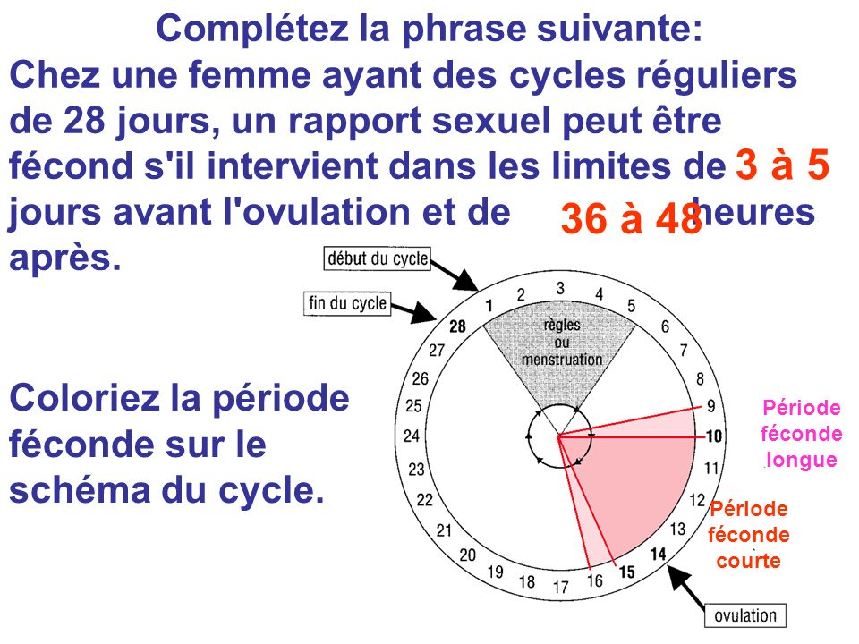 Complétez la phrase suivante: Chez une femme ayant des cycles réguliers de 28 jours, un rapport sexuel peut être fécond s il intervient dans les limites de jours avant l ovulation et de heures après.