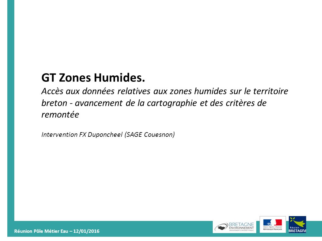 Réunion Pôle Métier Eau – 12/01/ GT Zones Humides.