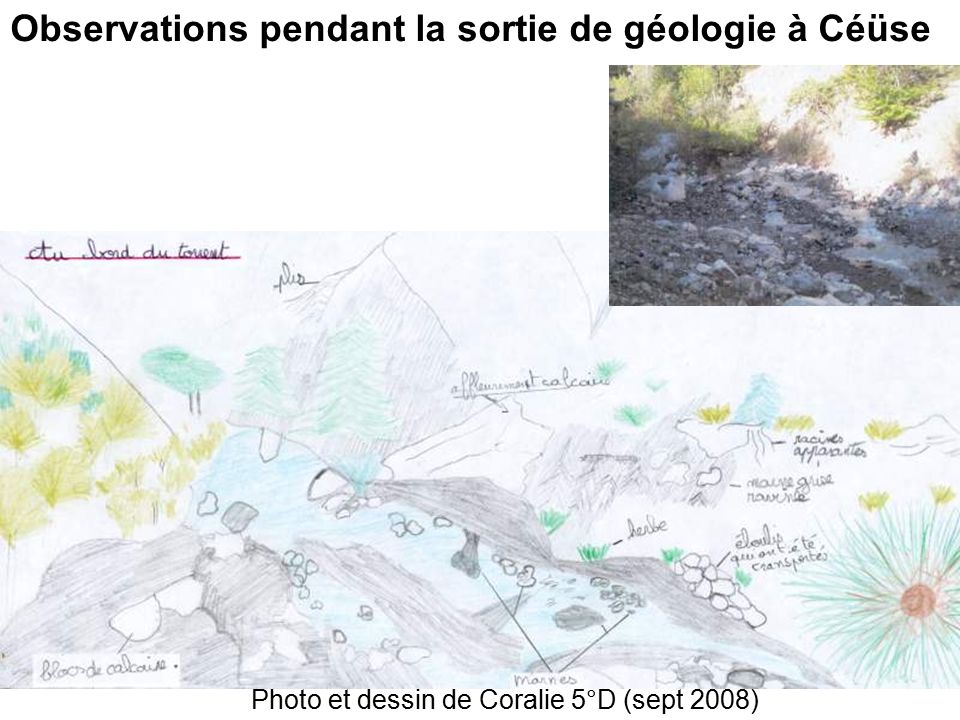 Photo et dessin de Coralie 5°D (sept 2008) Observations pendant la sortie de géologie à Céüse