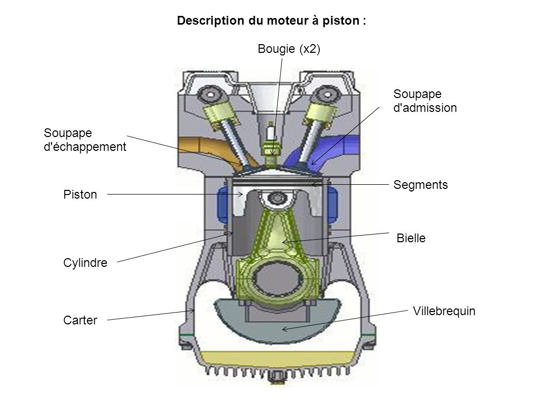 Description du moteur à piston : Carter Cylindre Piston Soupape d admission Bougie (x2) Soupape d échappement Segments Bielle Villebrequin