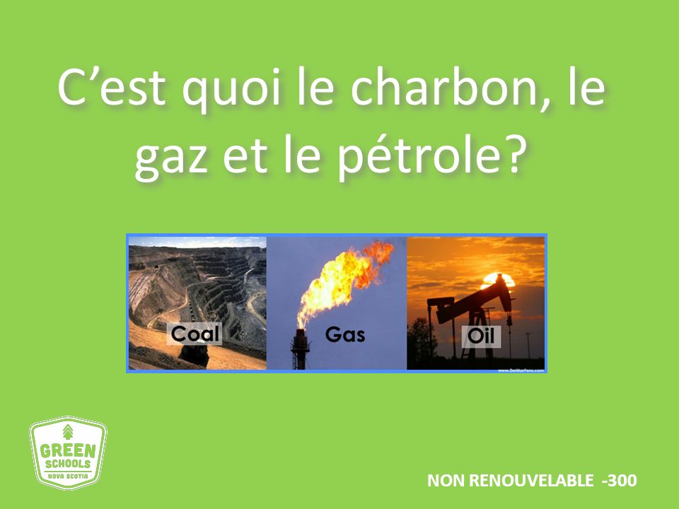 Nommez 2 types de combustibles fossiles NON RENOUVELABLE - 300
