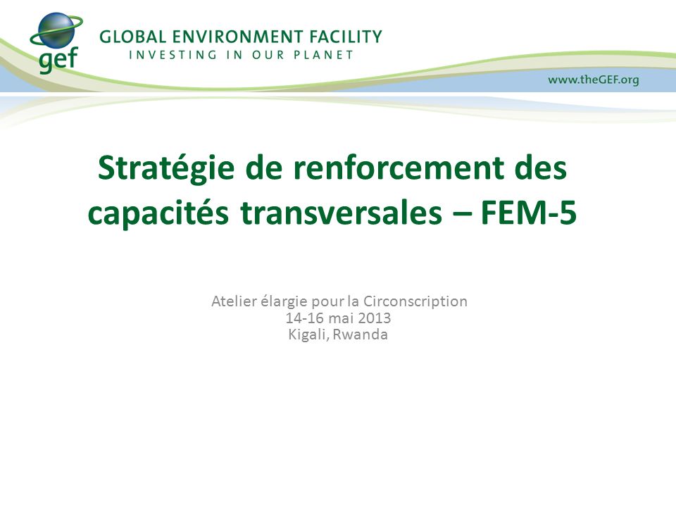 Atelier élargie pour la Circonscription mai 2013 Kigali, Rwanda Stratégie de renforcement des capacités transversales – FEM-5