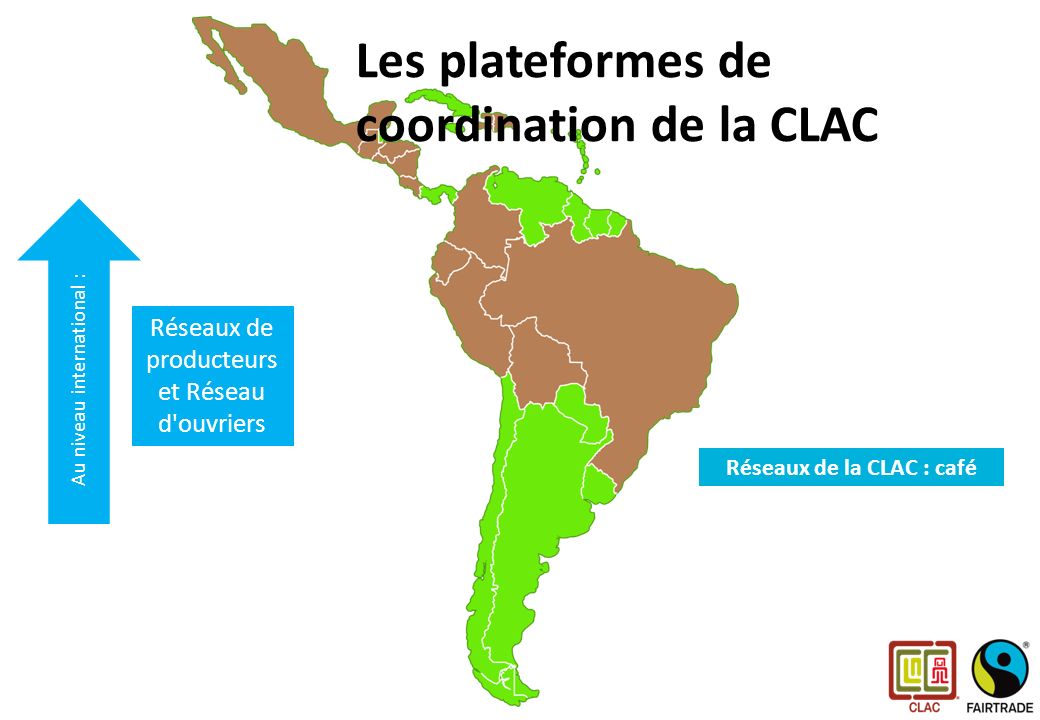 Les plateformes de la CLAC Au niveau international : Réseaux de producteurs et Réseau d ouvriers Réseaux de la CLAC : café Les plateformes de coordination de la CLAC