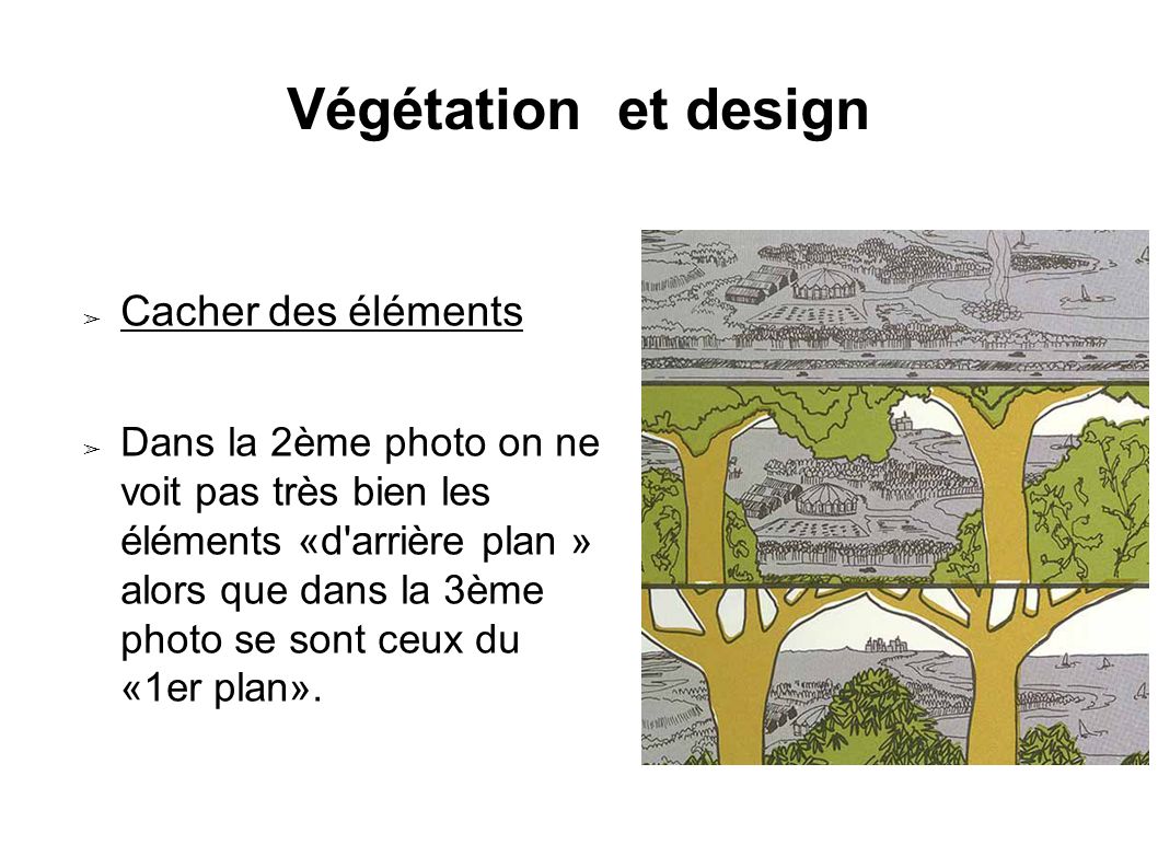 Végétation et design ➢ Cacher des éléments ➢ Dans la 2ème photo on ne voit pas très bien les éléments «d arrière plan » alors que dans la 3ème photo se sont ceux du «1er plan».