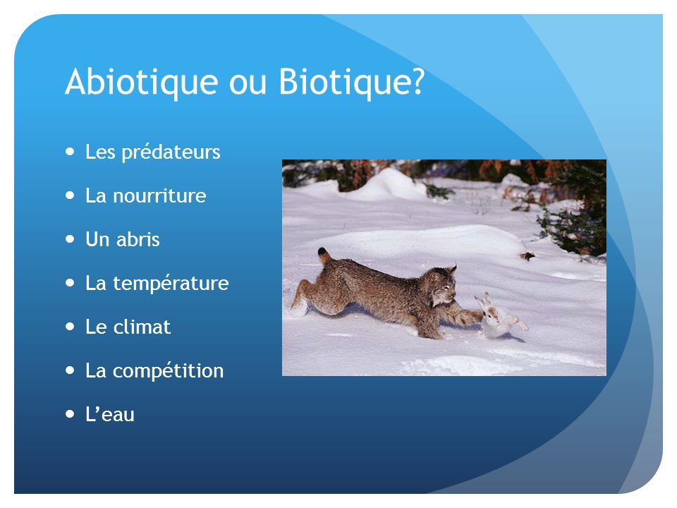 Abiotique ou Biotique.