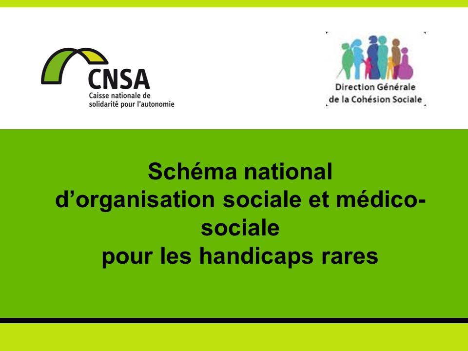 Schéma national d’organisation sociale et médico- sociale pour les handicaps rares