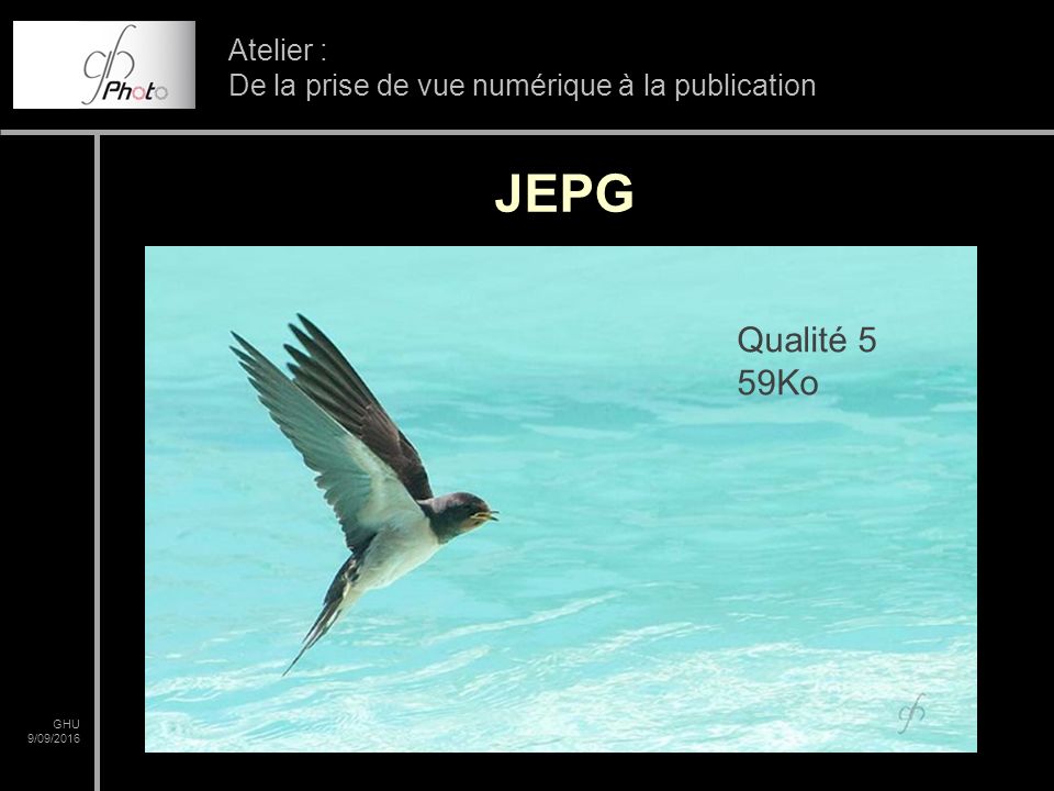 GHU 9/09/2016 Atelier : De la prise de vue numérique à la publication JEPG Qualité 5 59Ko