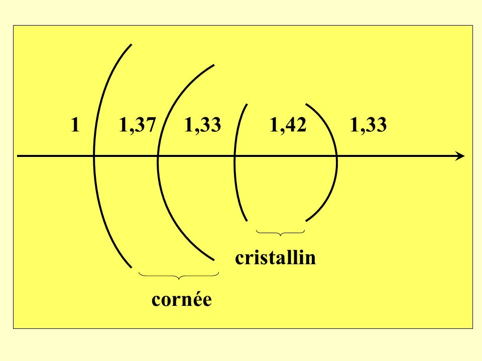 1 1,37 1,33 1,42 1,33 cristallin cornée