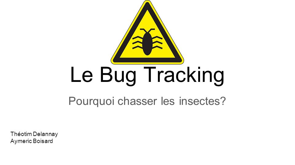 Le Bug Tracking Pourquoi chasser les insectes Théotim Delannay Aymeric Boisard