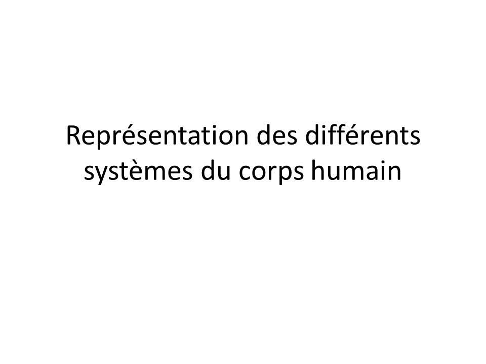 Représentation des différents systèmes du corps humain