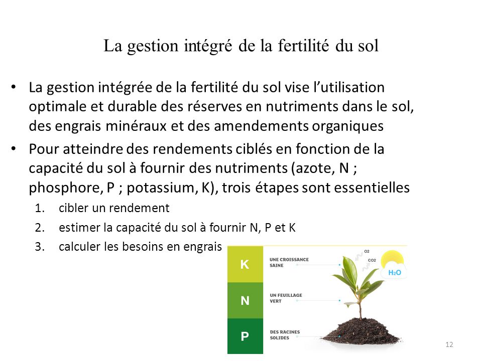 La gestion intégré de la fertilité du sol La gestion intégrée de la fertilité du sol vise l’utilisation optimale et durable des réserves en nutriments dans le sol, des engrais minéraux et des amendements organiques Pour atteindre des rendements ciblés en fonction de la capacité du sol à fournir des nutriments (azote, N ; phosphore, P ; potassium, K), trois étapes sont essentielles 1.cibler un rendement 2.estimer la capacité du sol à fournir N, P et K 3.calculer les besoins en engrais 12