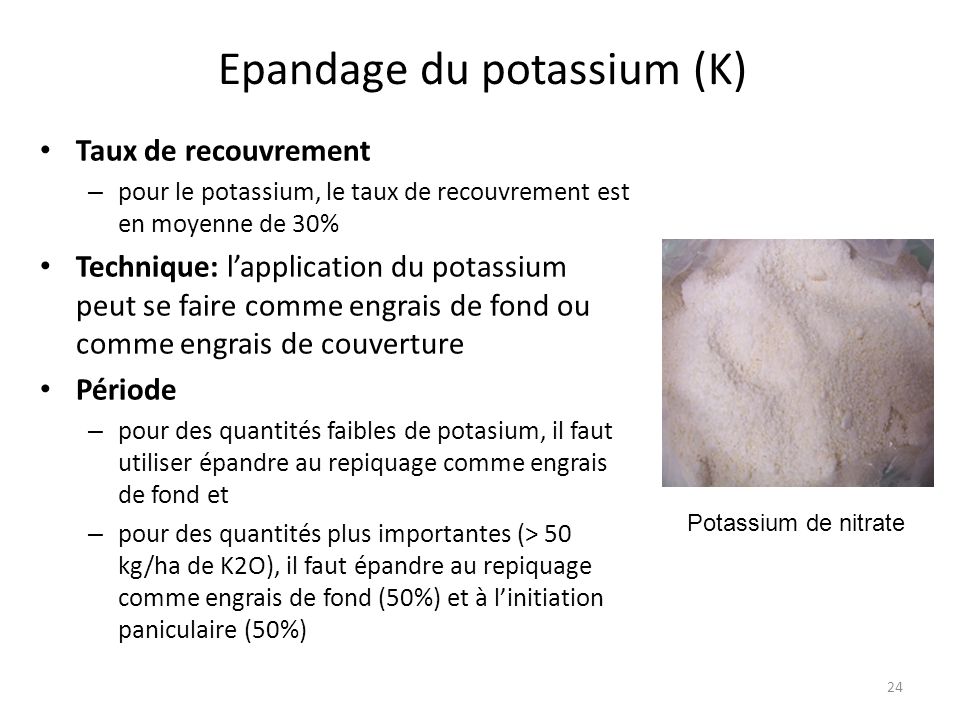 Taux de recouvrement – pour le potassium, le taux de recouvrement est en moyenne de 30% Technique: l’application du potassium peut se faire comme engrais de fond ou comme engrais de couverture Période – pour des quantités faibles de potasium, il faut utiliser épandre au repiquage comme engrais de fond et – pour des quantités plus importantes (> 50 kg/ha de K2O), il faut épandre au repiquage comme engrais de fond (50%) et à l’initiation paniculaire (50%) Epandage du potassium (K) 24 Potassium de nitrate