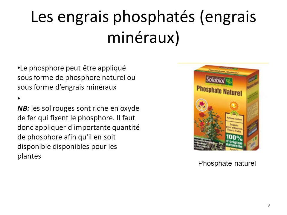 Les engrais phosphatés (engrais minéraux) Le phosphore peut être appliqué sous forme de phosphore naturel ou sous forme d’engrais minéraux NB: les sol rouges sont riche en oxyde de fer qui fixent le phosphore.