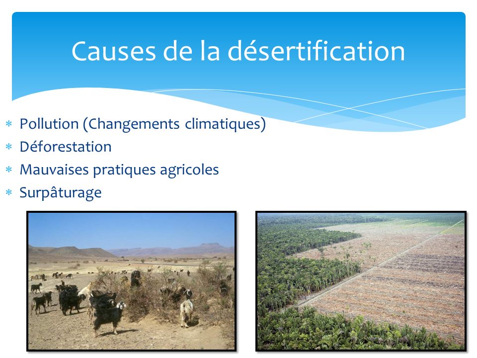  Pollution (Changements climatiques)  Déforestation  Mauvaises pratiques agricoles  Surpâturage Causes de la désertification