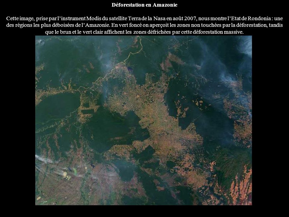 Déforestation en Amazonie Cette image, prise par l’instrument Modis du satellite Terra de la Nasa en août 2007, nous montre l’Etat de Rondonia : une des régions les plus déboisées de l’Amazonie.