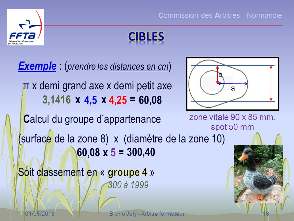 Commission des Arbitres - Normandie 01/05/2016Bruno Joly - Arbitre formateur16 a zone vitale 90 x 85 mm, spot 50 mm b 3,1416 4,54,2560,08 300,40