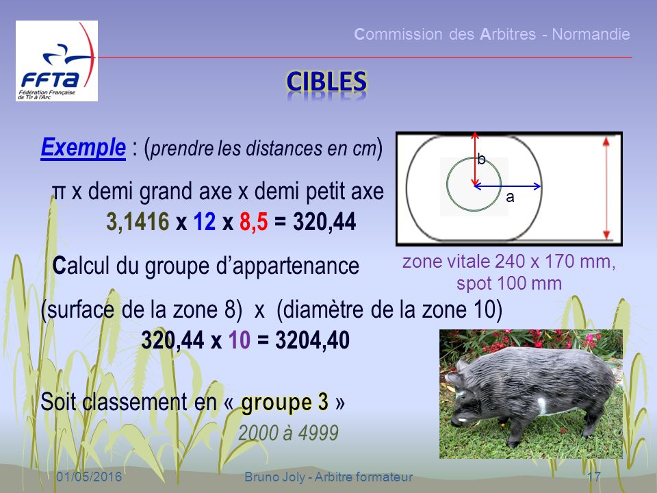 Commission des Arbitres - Normandie 01/05/2016Bruno Joly - Arbitre formateur17 a zone vitale 240 x 170 mm, spot 100 mm b