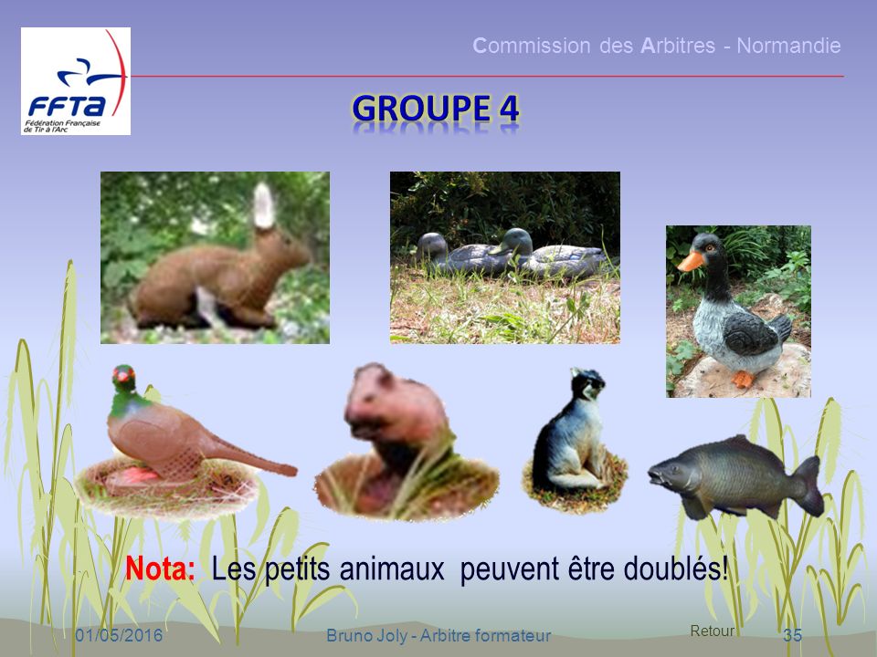 Commission des Arbitres - Normandie 01/05/2016Bruno Joly - Arbitre formateur35 Nota: Les petits animaux peuvent être doublés.