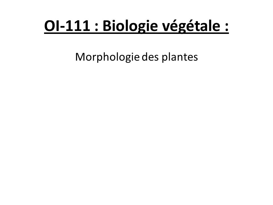OI-111 : Biologie végétale : Morphologie des plantes