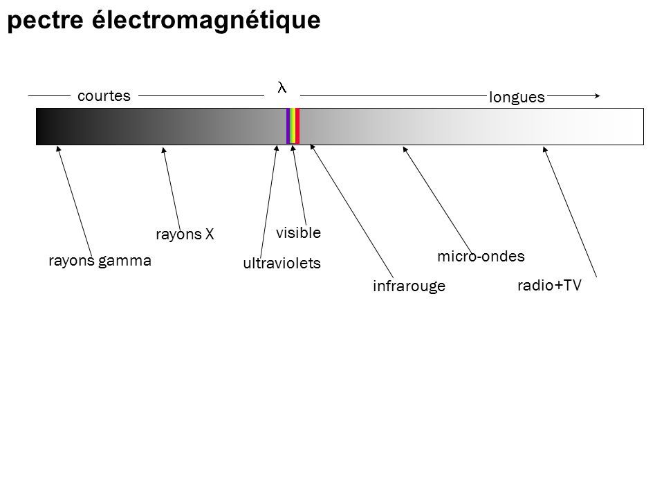 pectre électromagnétique longues courtes rayons gamma rayons X ultraviolets visible infrarouge radio+TV micro-ondes