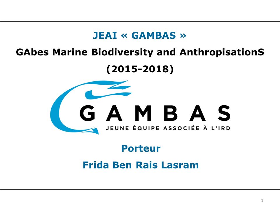 JEAI « GAMBAS » GAbes Marine Biodiversity and AnthropisationS ( ) 1 Porteur Frida Ben Rais Lasram