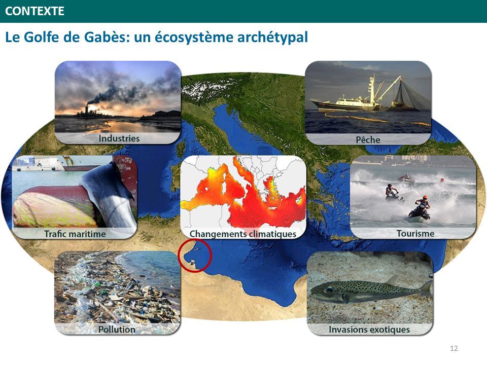 Le Golfe de Gabès: un écosystème archétypal CONTEXTE 12