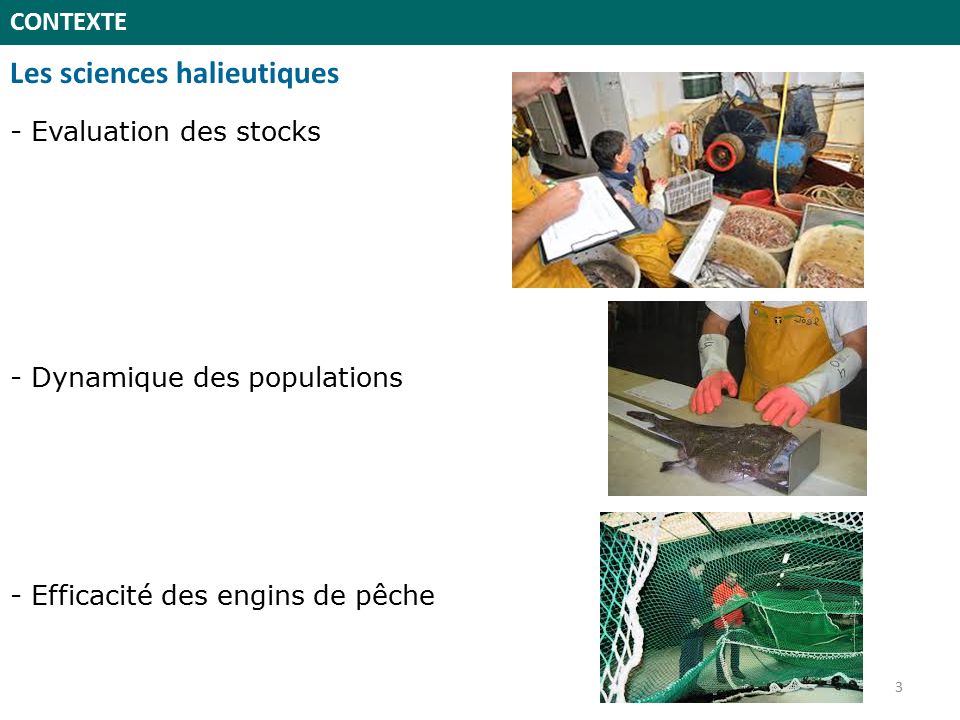 CONTEXTE Les sciences halieutiques - Evaluation des stocks - Dynamique des populations - Efficacité des engins de pêche 3