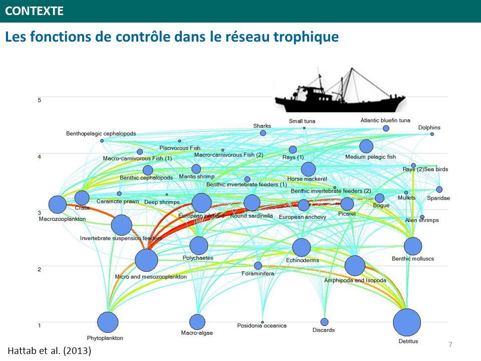 CONTEXTE Les fonctions de contrôle dans le réseau trophique 7 Hattab et al. (2013)