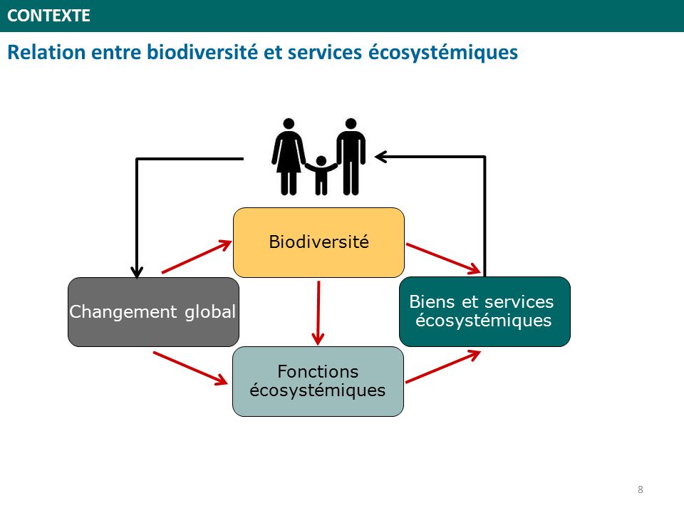 CONTEXTE Biodiversité Biens et services écosystémiques Fonctions écosystémiques Changement global Relation entre biodiversité et services écosystémiques 8