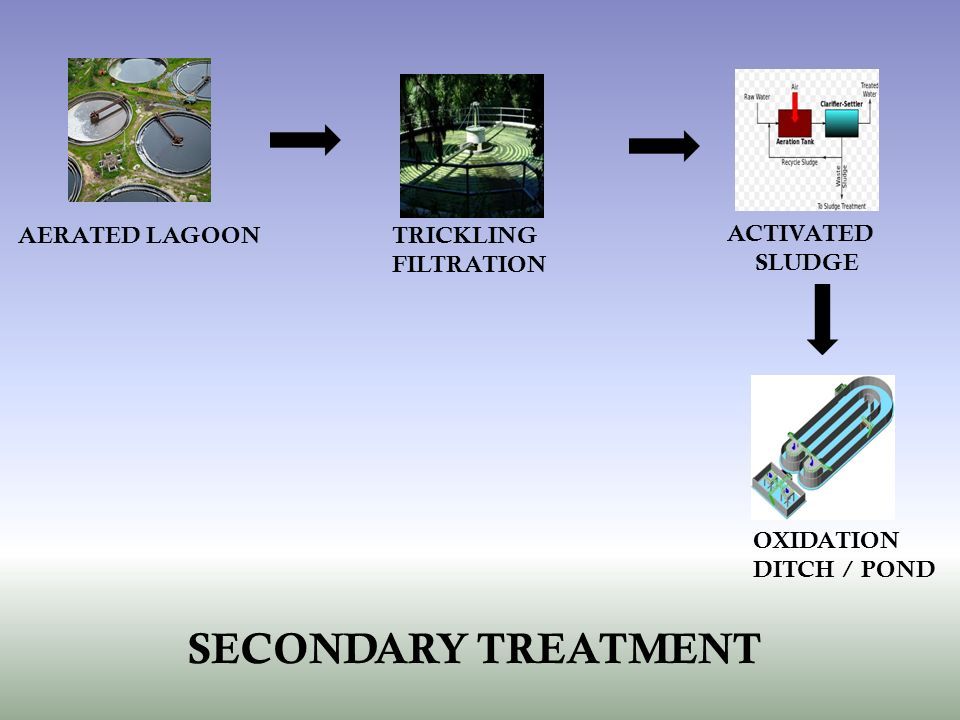 AERATED LAGOONTRICKLING FILTRATION ACTIVATED SLUDGE OXIDATION DITCH / POND SECONDARY TREATMENT