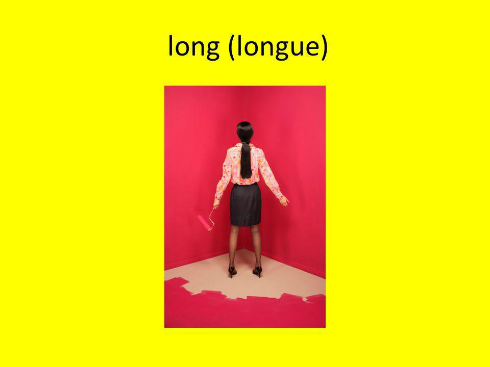 long (longue)