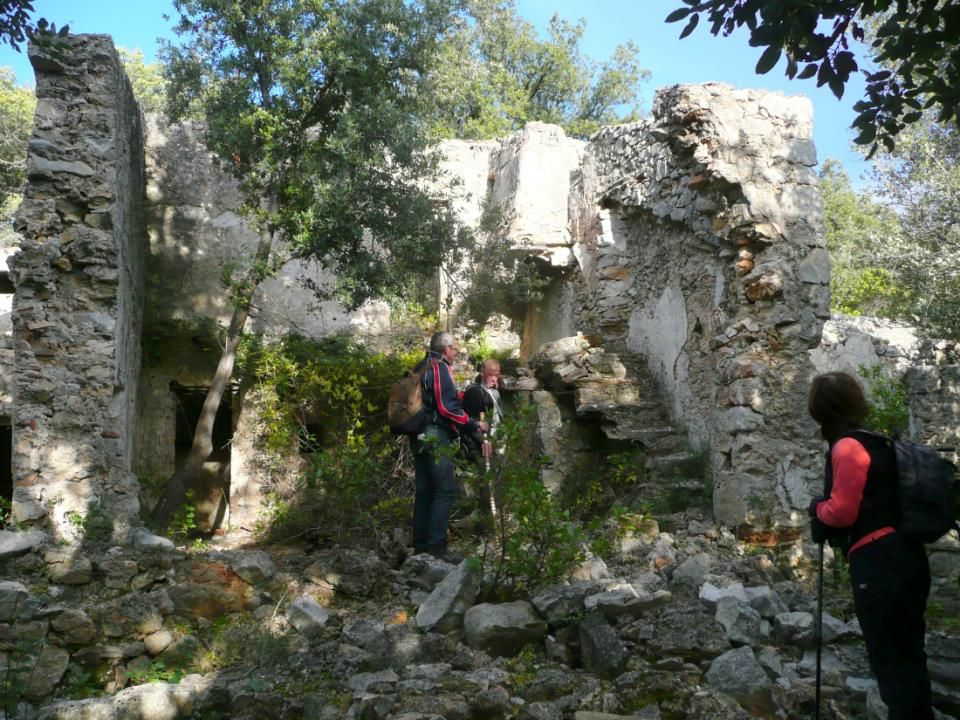 Nous avons atteint les ruines du Mas de lArbousier