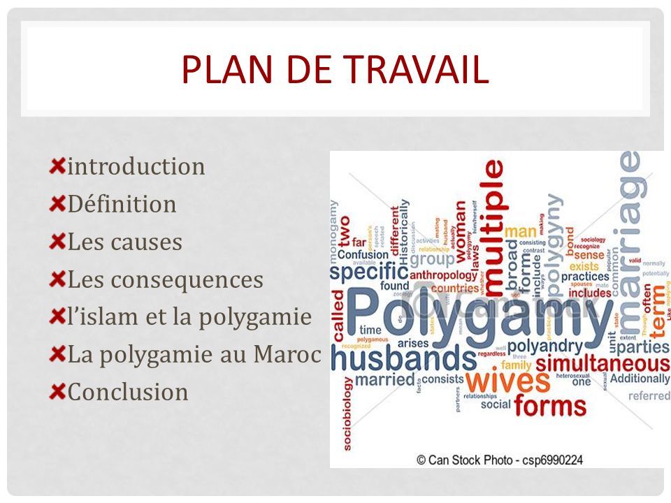 PLAN DE TRAVAIL introduction Définition Les causes Les consequences l’islam et la polygamie La polygamie au Maroc Conclusion