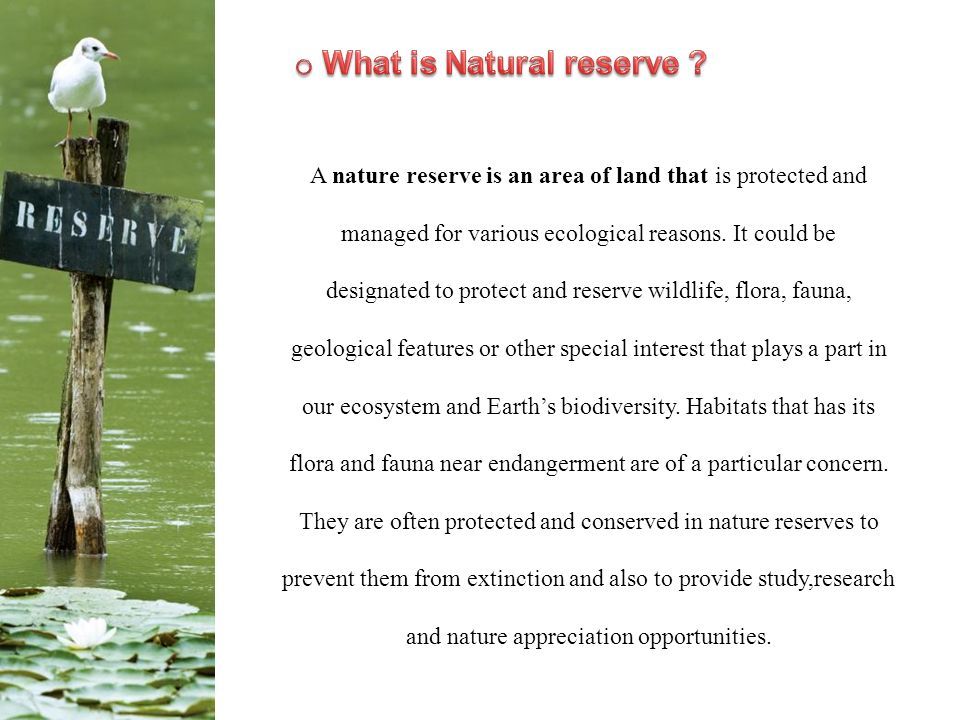Nature reserve meaning