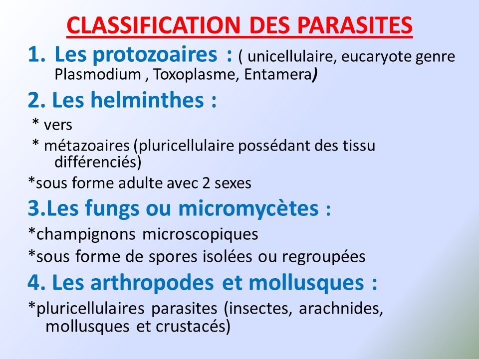 des parasites en anglais enterobiosis megelőzési szabályok