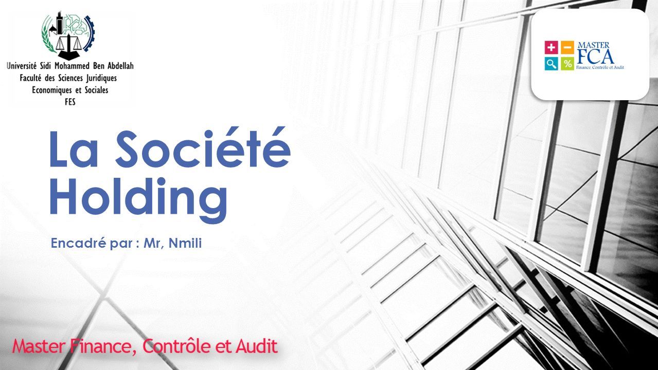 La Societe Holding Encadre Par Mr Nmili Introduction La