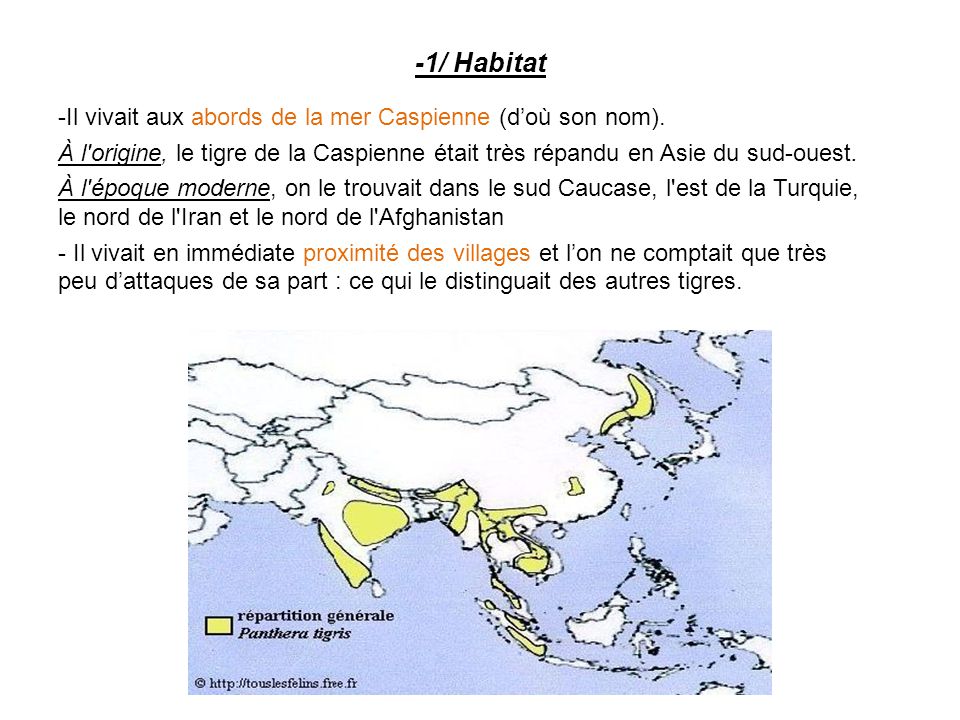 -1/ Habitat - Il vivait aux abords de la mer Caspienne (d’où son nom).