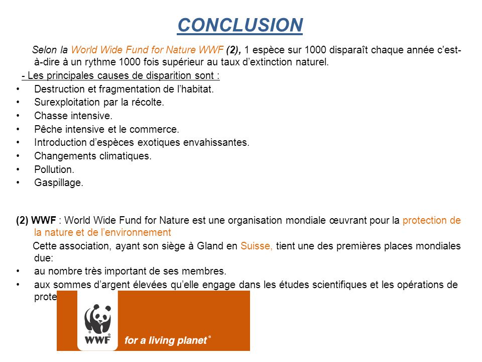 CONCLUSION Selon la World Wide Fund for Nature WWF (2), 1 espèce sur 1000 disparaît chaque année c est- à-dire à un rythme 1000 fois supérieur au taux d’extinction naturel.