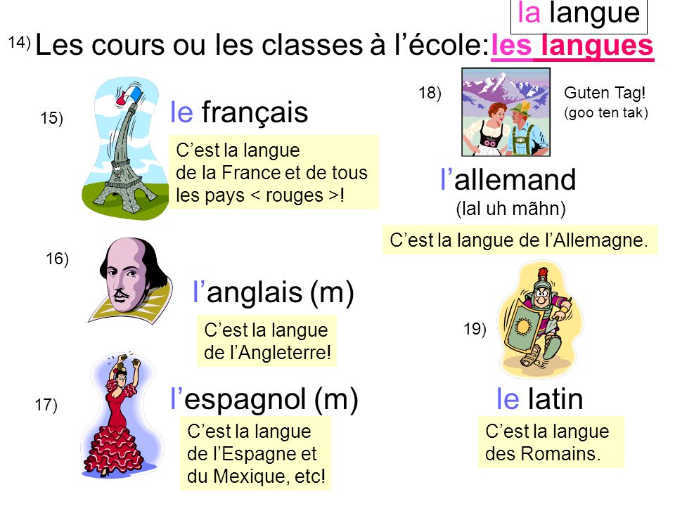 14) Les cours ou les classes à l’école: 15) le français 16) l’anglais (m) l’espagnol (m)le latin l’allemand (lal uh mãhn) 17) 18)Guten Tag.