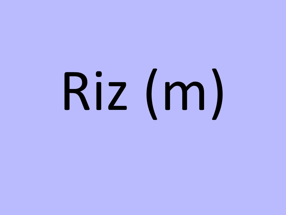 Riz (m)
