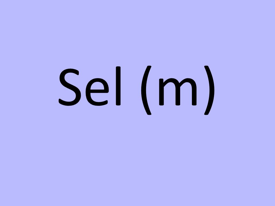 Sel (m)