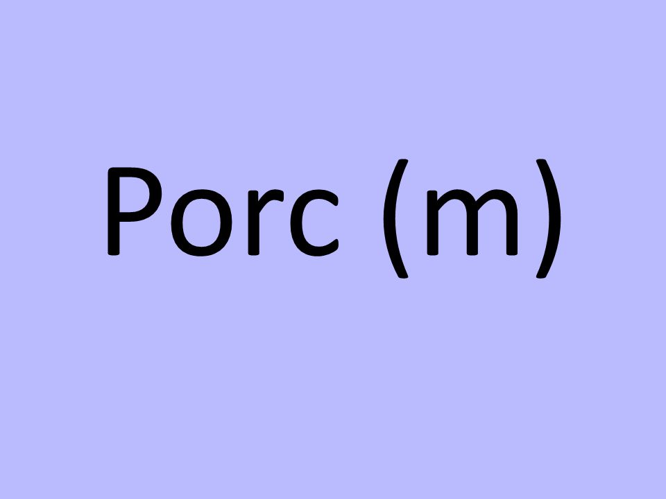 Porc (m)