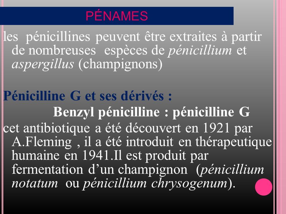 PÉNAMES les pénicillines peuvent être extraites à partir de nombreuses espèces de pénicillium et aspergillus (champignons) Pénicilline G et ses dérivés : Benzyl pénicilline : pénicilline G cet antibiotique a été découvert en 1921 par A.Fleming, il a été introduit en thérapeutique humaine en 1941.Il est produit par fermentation d’un champignon (pénicillium notatum ou pénicillium chrysogenum).