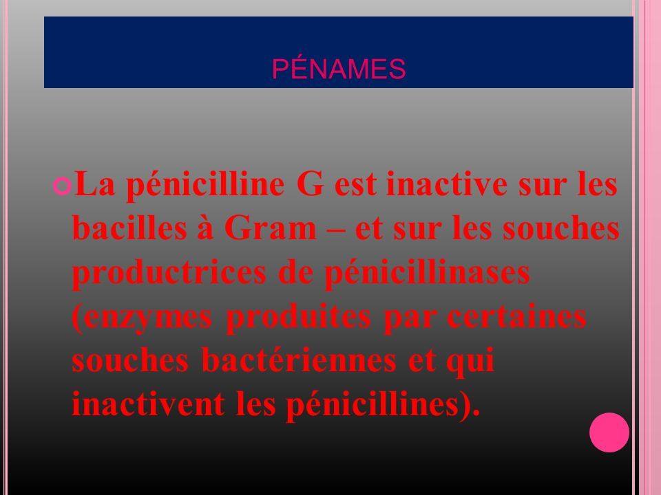 PÉNAMES La pénicilline G est inactive sur les bacilles à Gram – et sur les souches productrices de pénicillinases (enzymes produites par certaines souches bactériennes et qui inactivent les pénicillines).