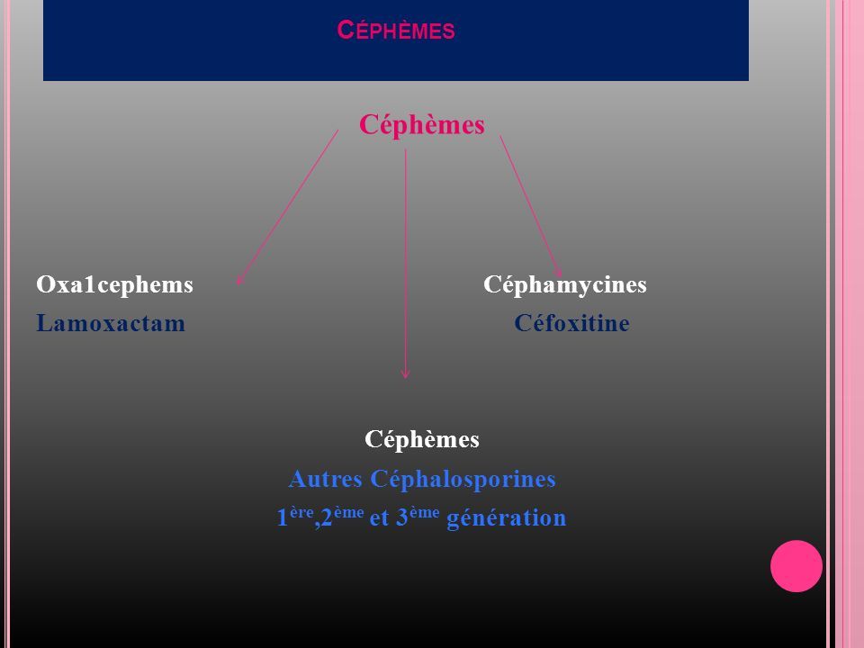 C ÉPHÈMES Céphèmes Oxa1cephems Céphamycines Lamoxactam Céfoxitine Céphèmes Autres Céphalosporines 1 ère,2 ème et 3 ème génération
