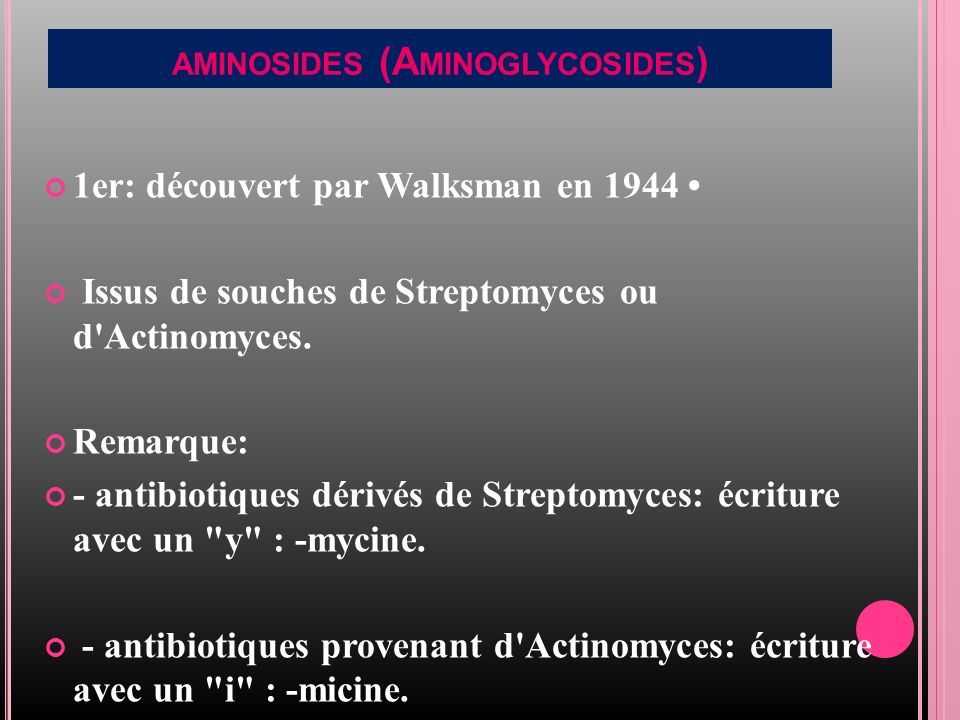AMINOSIDES (A MINOGLYCOSIDES ) 1er: découvert par Walksman en 1944 Issus de souches de Streptomyces ou d Actinomyces.