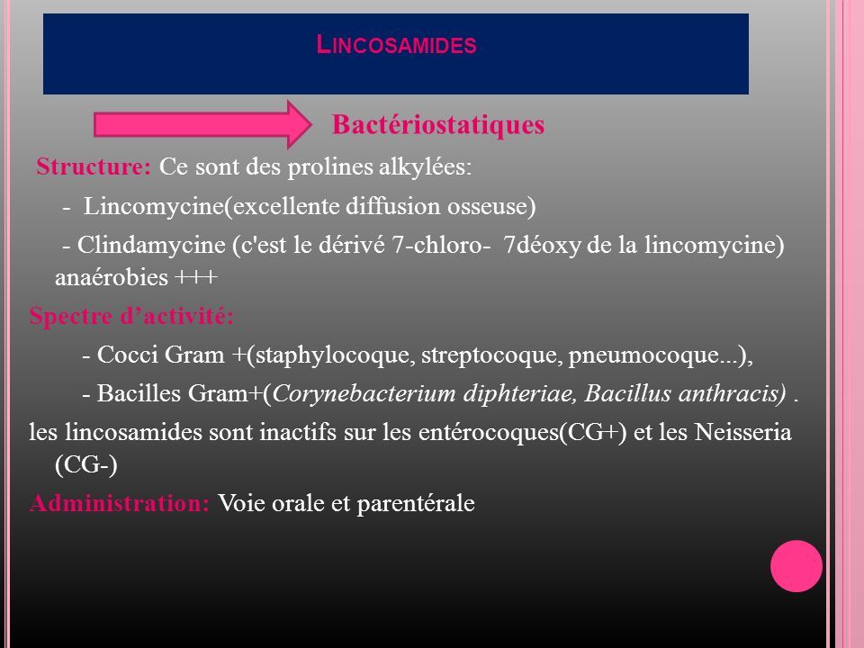 L INCOSAMIDES Bactériostatiques Structure: Ce sont des prolines alkylées: - Lincomycine(excellente diffusion osseuse) - Clindamycine (c est le dérivé 7-chloro- 7déoxy de la lincomycine) anaérobies +++ Spectre d’activité: - Cocci Gram +(staphylocoque, streptocoque, pneumocoque...), - Bacilles Gram+(Corynebacterium diphteriae, Bacillus anthracis).