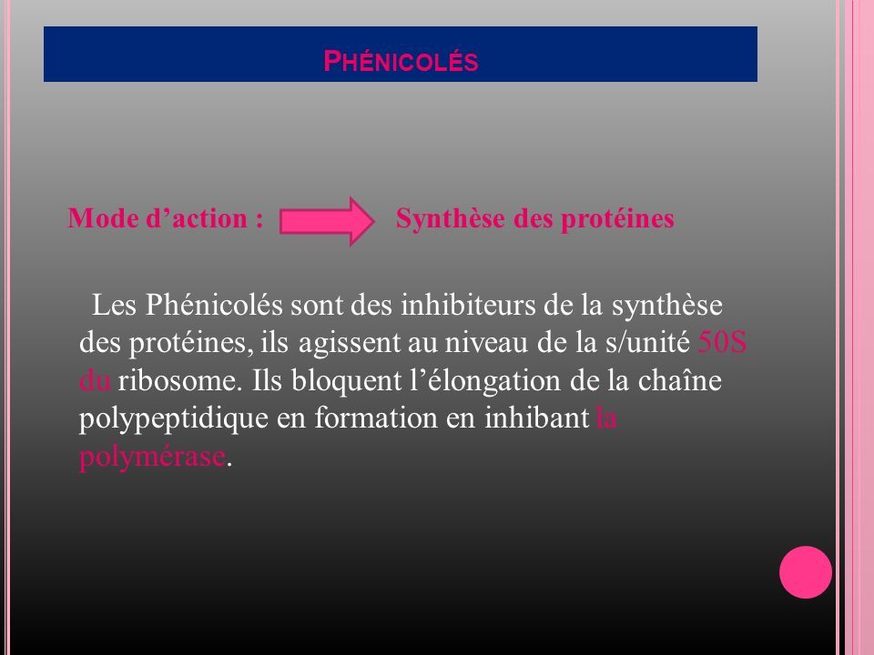 P HÉNICOLÉS Mode d’action : Synthèse des protéines Les Phénicolés sont des inhibiteurs de la synthèse des protéines, ils agissent au niveau de la s/unité 50S du ribosome.