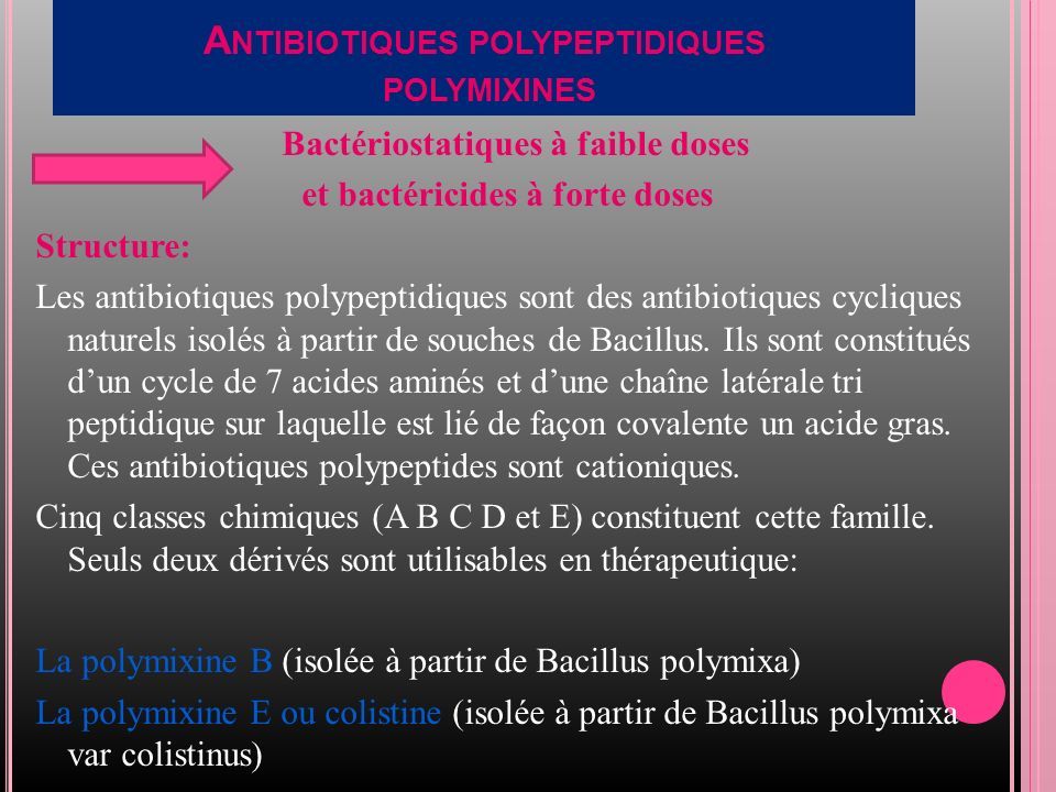 A NTIBIOTIQUES POLYPEPTIDIQUES POLYMIXINES Bactériostatiques à faible doses et bactéricides à forte doses Structure: Les antibiotiques polypeptidiques sont des antibiotiques cycliques naturels isolés à partir de souches de Bacillus.